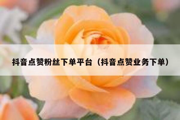 抖音点赞粉丝下单平台（抖音点赞业务下单） 第1张