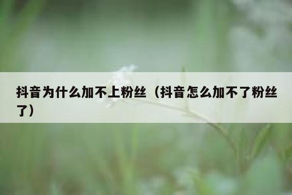 抖音为什么加不上粉丝（抖音怎么加不了粉丝了） 第1张