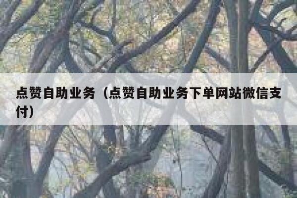 点赞自助业务（点赞自助业务下单网站微信支付） 第1张