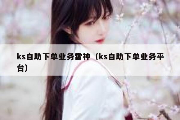 ks自助下单业务雷神（ks自助下单业务平台） 第1张