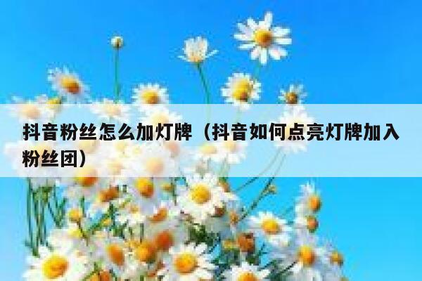 抖音粉丝怎么加灯牌（抖音如何点亮灯牌加入粉丝团） 第1张