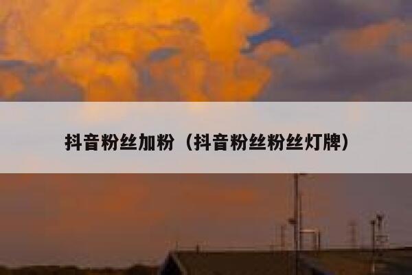 抖音粉丝加粉（抖音粉丝粉丝灯牌） 第1张