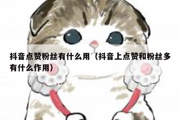 抖音点赞粉丝有什么用（抖音上点赞和粉丝多有什么作用） 第1张