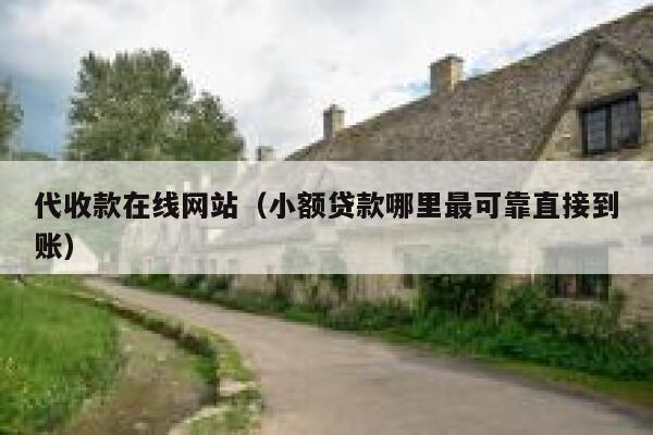 代收款在线网站（小额贷款哪里最可靠直接到账） 第1张