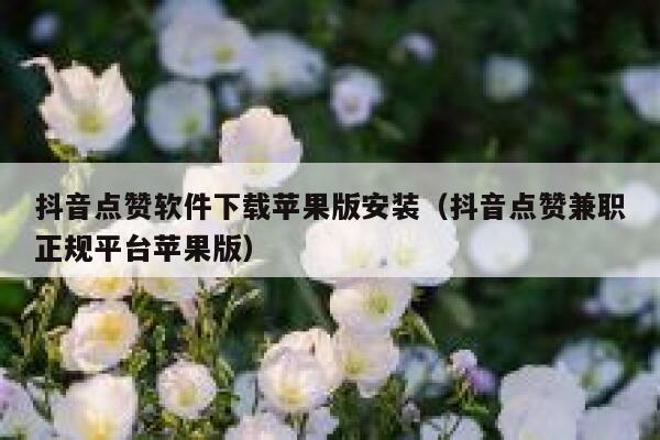 抖音点赞软件下载苹果版安装（抖音点赞兼职正规平台苹果版） 第1张