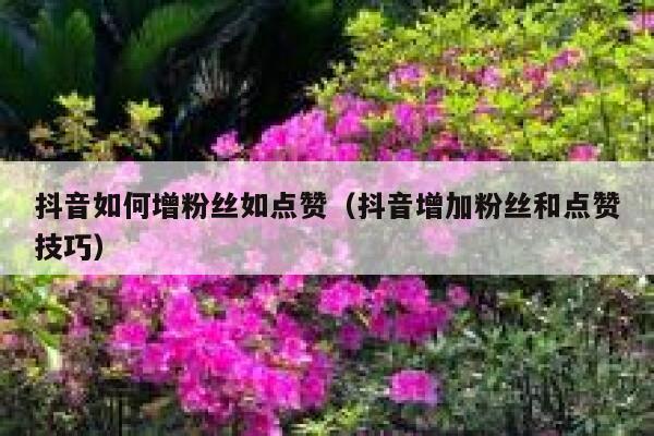抖音如何增粉丝如点赞（抖音增加粉丝和点赞技巧） 第1张