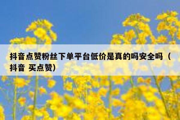 抖音点赞粉丝下单平台低价是真的吗安全吗（抖音 买点赞） 第1张