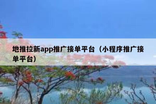 地推拉新app推广接单平台（小程序推广接单平台） 第1张
