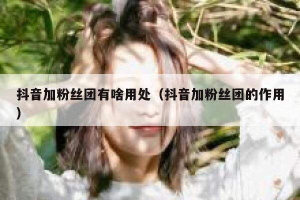 抖音加粉丝团有啥用处（抖音加粉丝团的作用） 第1张