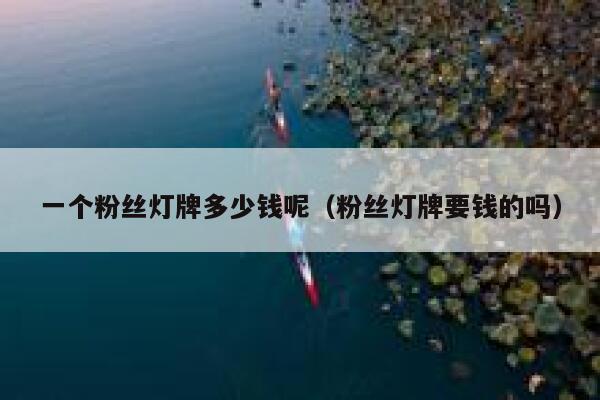 一个粉丝灯牌多少钱呢（粉丝灯牌要钱的吗） 第1张