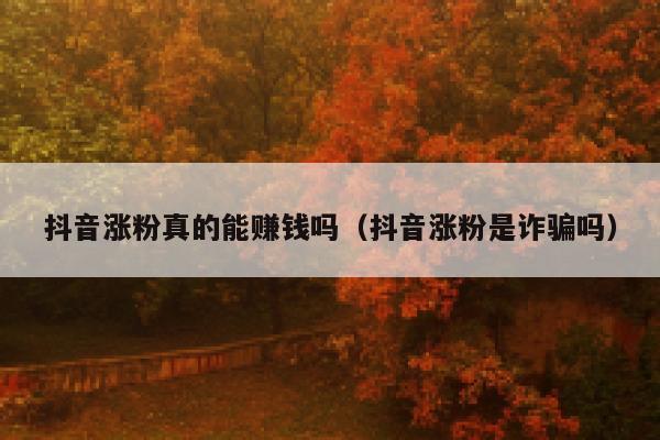 抖音涨粉真的能赚钱吗（抖音涨粉是诈骗吗） 第1张