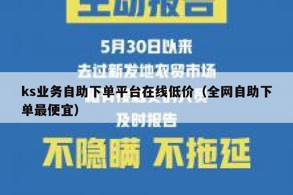 ks业务自助下单平台在线低价（全网自助下单最便宜） 第1张