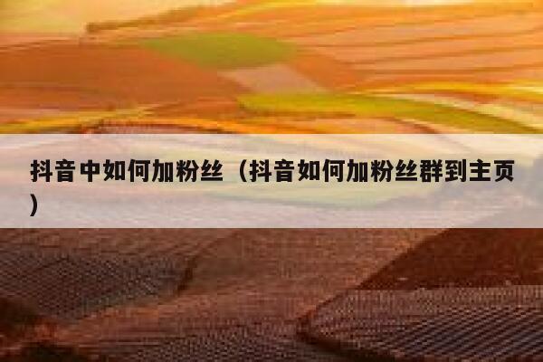 抖音中如何加粉丝（抖音如何加粉丝群到主页） 第1张