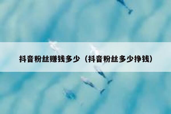 抖音粉丝赚钱多少（抖音粉丝多少挣钱） 第1张