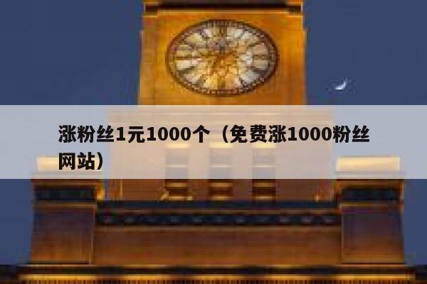 涨粉丝1元1000个（免费涨1000粉丝网站） 第1张