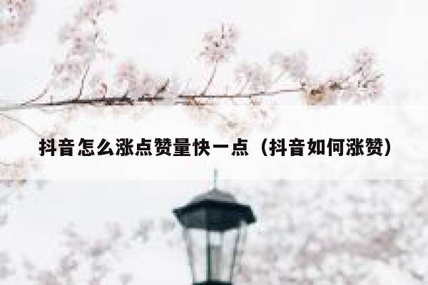 抖音怎么涨点赞量快一点（抖音如何涨赞） 第1张