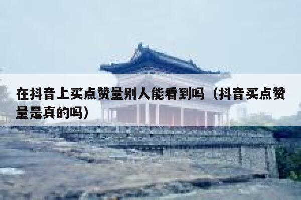 在抖音上买点赞量别人能看到吗（抖音买点赞量是真的吗） 第1张