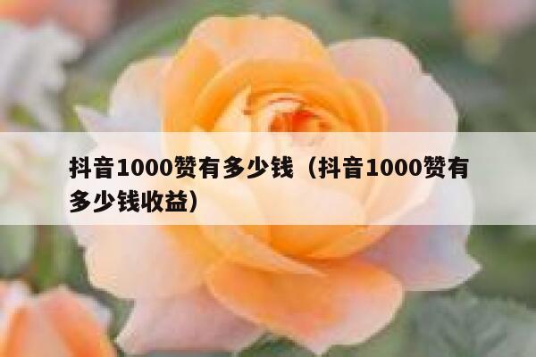 抖音1000赞有多少钱（抖音1000赞有多少钱收益） 第1张