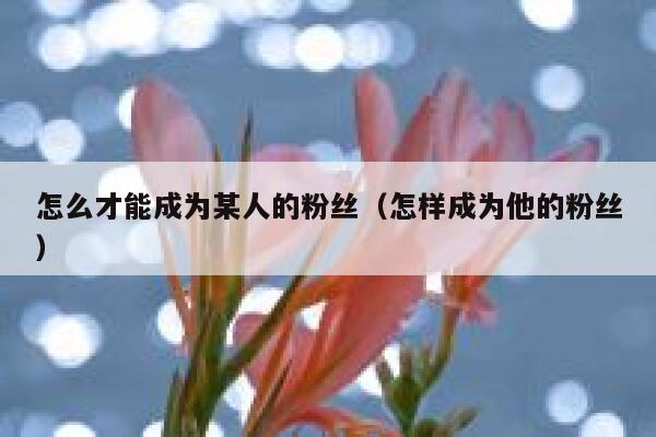 怎么才能成为某人的粉丝（怎样成为他的粉丝） 第1张