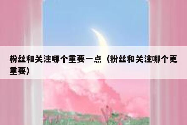 粉丝和关注哪个重要一点（粉丝和关注哪个更重要） 第1张