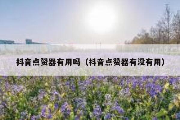 抖音点赞器有用吗（抖音点赞器有没有用） 第1张
