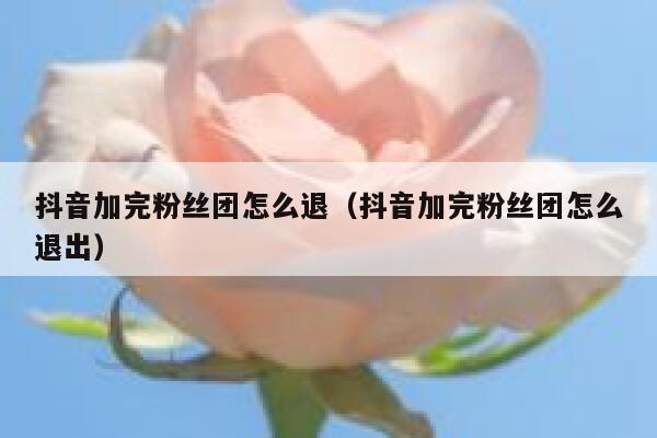 抖音加完粉丝团怎么退（抖音加完粉丝团怎么退出） 第1张