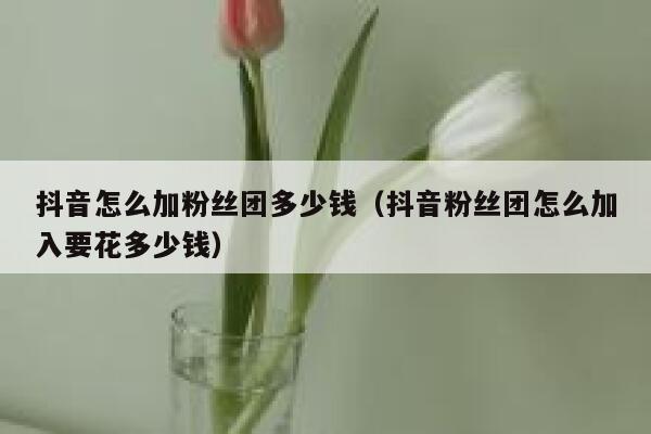 抖音怎么加粉丝团多少钱（抖音粉丝团怎么加入要花多少钱） 第1张