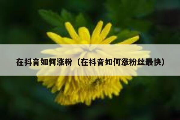 在抖音如何涨粉(在抖音如何涨粉丝最快) 第1张 在抖音如何涨粉(在抖音如何涨粉丝最快) 第1张