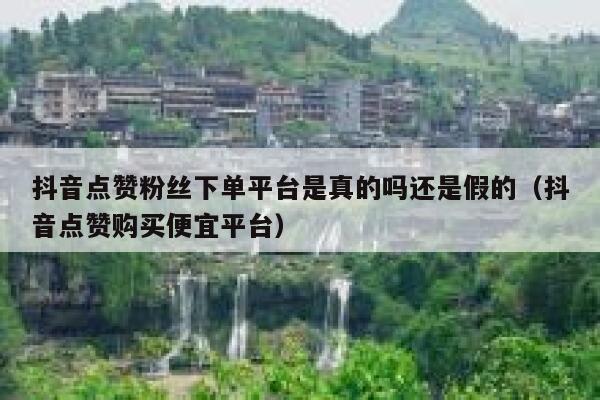 抖音点赞粉丝下单平台是真的吗还是假的（抖音点赞购买便宜平台） 第1张