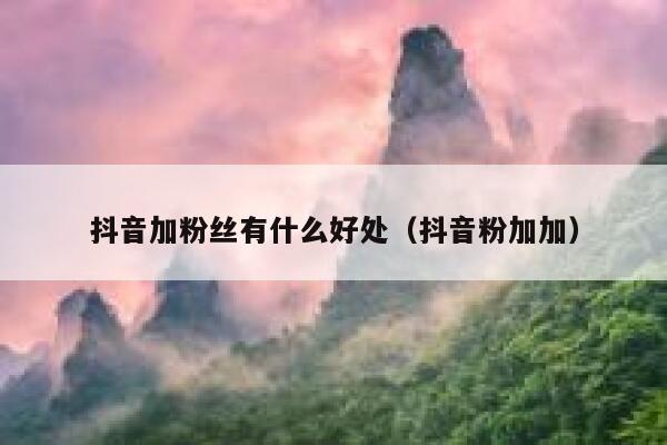 抖音加粉丝有什么好处（抖音粉加加） 第1张