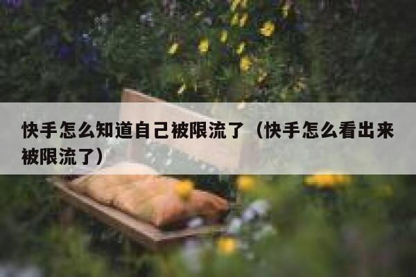 快手怎么知道自己被限流了（快手怎么看出来被限流了） 第1张
