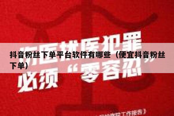 抖音粉丝下单平台软件有哪些（便宜抖音粉丝下单） 第1张