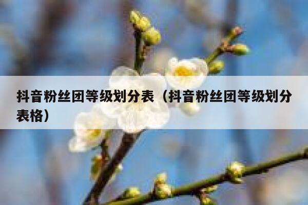 抖音粉丝团等级划分表（抖音粉丝团等级划分表格） 第1张