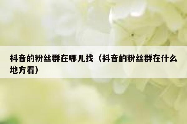 抖音的粉丝群在哪儿找（抖音的粉丝群在什么地方看） 第1张