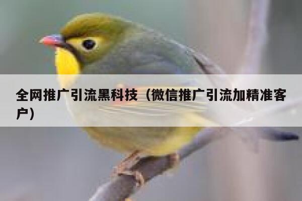 全网推广引流黑科技（微信推广引流加精准客户） 第1张