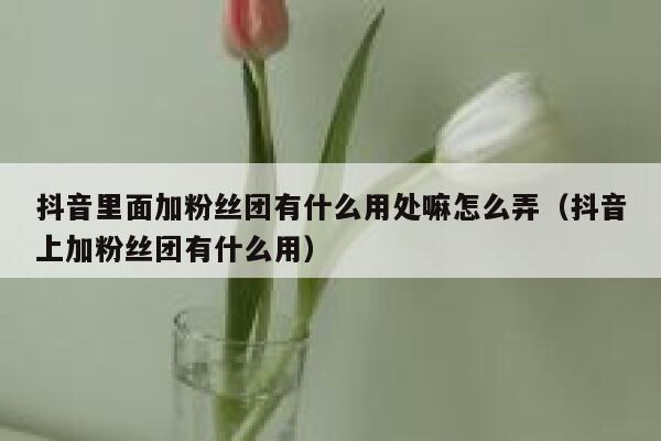 抖音里面加粉丝团有什么用处嘛怎么弄（抖音上加粉丝团有什么用） 第1张