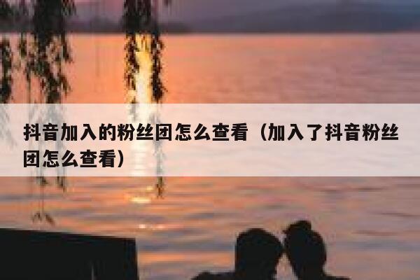 抖音加入的粉丝团怎么查看（加入了抖音粉丝团怎么查看） 第1张