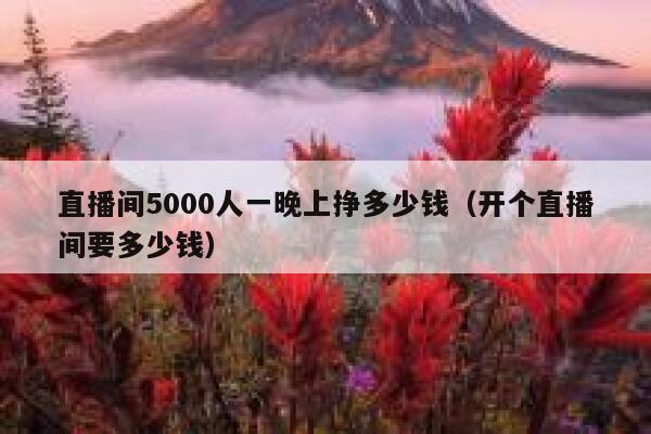 直播间5000人一晚上挣多少钱（开个直播间要多少钱） 第1张