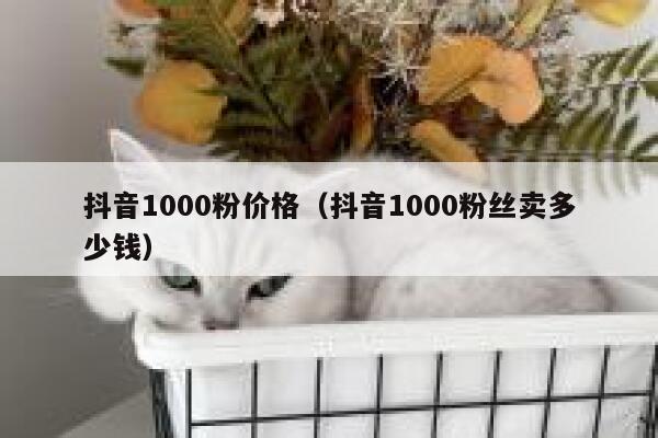 抖音1000粉价格（抖音1000粉丝卖多少钱） 第1张