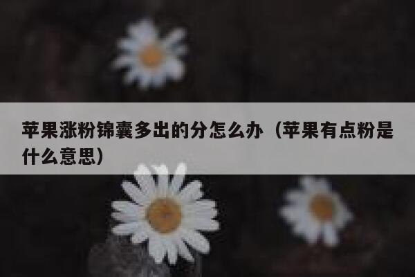 苹果涨粉锦囊多出的分怎么办（苹果有点粉是什么意思） 第1张