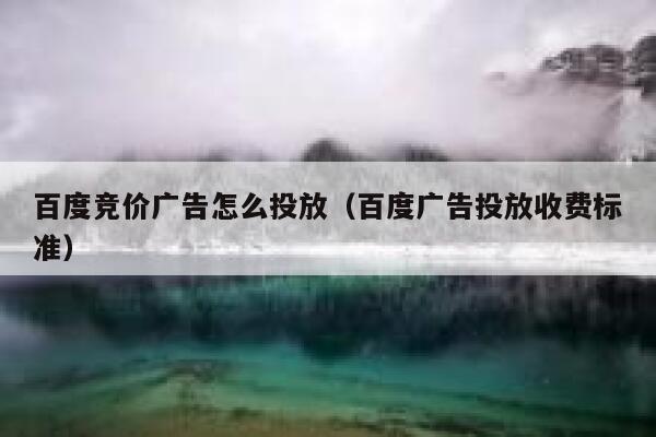 百度竞价广告怎么投放（百度广告投放收费标准） 第1张