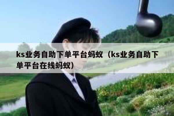 ks业务自助下单平台蚂蚁（ks业务自助下单平台在线蚂蚁） 第1张