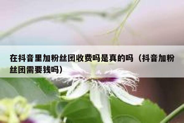 在抖音里加粉丝团收费吗是真的吗（抖音加粉丝团需要钱吗） 第1张