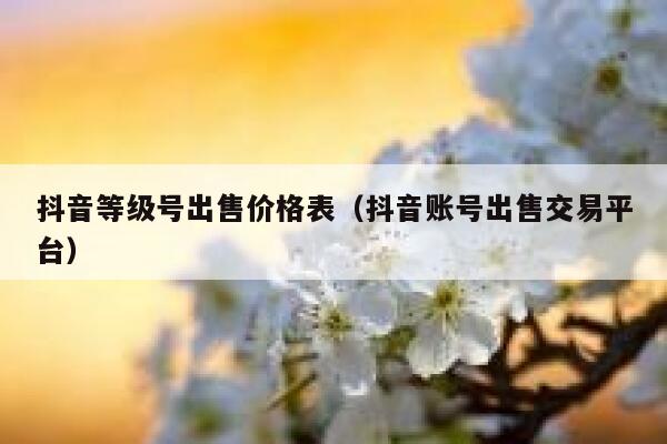 抖音等级号出售价格表（抖音账号出售交易平台） 第1张