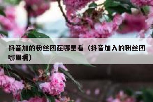 抖音加的粉丝团在哪里看（抖音加入的粉丝团哪里看） 第1张