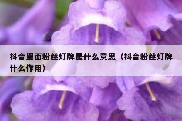 抖音里面粉丝灯牌是什么意思（抖音粉丝灯牌什么作用） 第1张