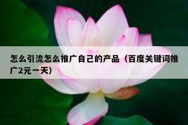 怎么引流怎么推广自己的产品（百度关键词推广2元一天） 第1张