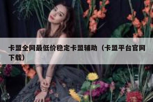 卡盟全网最低价稳定卡盟辅助（卡盟平台官网下载） 第1张