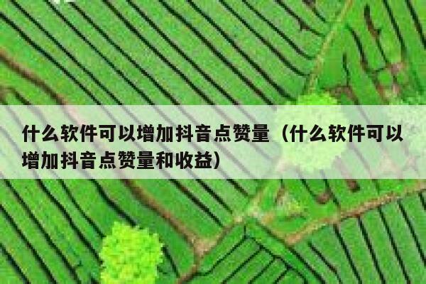 什么软件可以增加抖音点赞量（什么软件可以增加抖音点赞量和收益） 第1张