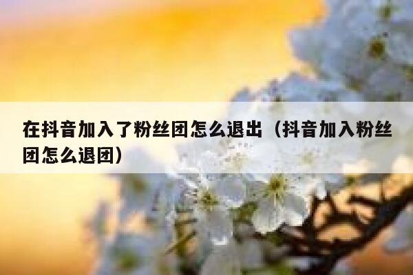 在抖音加入了粉丝团怎么退出（抖音加入粉丝团怎么退团） 第1张